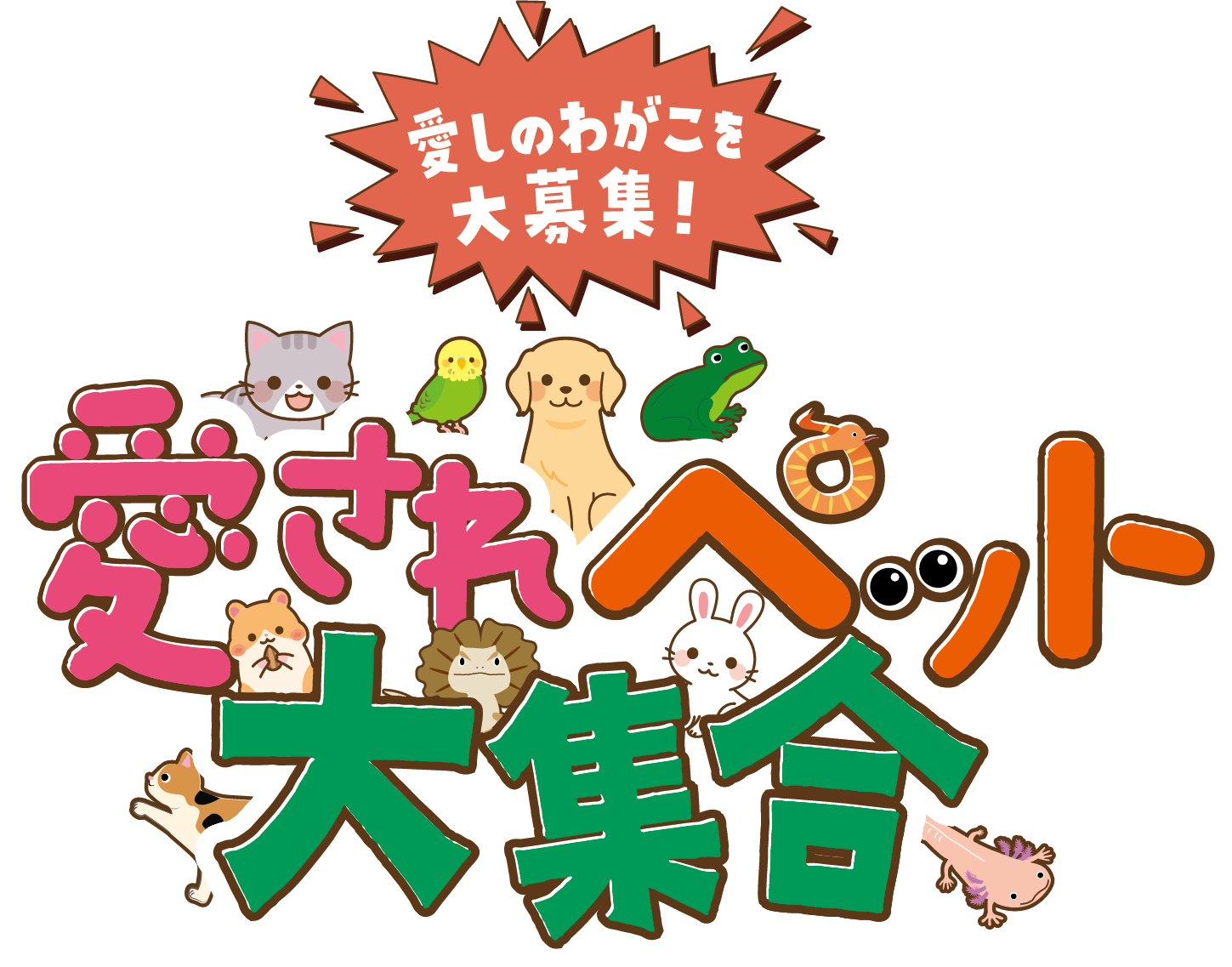 本物のかぼちゃを見つけ出せ!